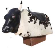 The Kids Party Rental Directory makes renting a kids party mechanical bull for your kids birthday party easy and convenient. in Stigler