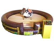 The Kids Party Rental Directory makes renting a kids party mechanical bull for your kids birthday party easy and convenient. in Stigler