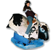 The Kids Party Rental Directory makes renting a kids party mechanical bull for your kids birthday party easy and convenient. in Stigler